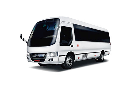 Miniatura Jac Coaster